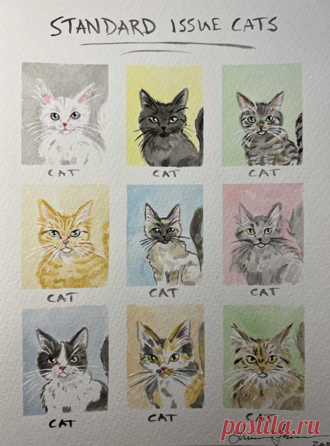 Cats, Beavers & Ducks