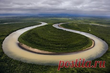 Царство лосося. Река Вывенка — оптимальный путь для лосося, плывущего вверх по течению к нерестилищам. Она петляет по пойменной долине, на которой нет дорог и дамб. В отличие от своих атлантических собратьев тихоокеанский лосось нерестится один раз и погибает. Азот и другие продукты разложения тушек — прекрасное удобрение.
Фото: Ренди