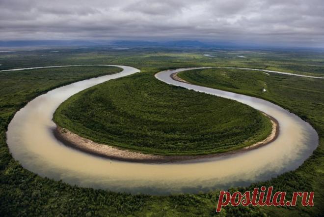 Царство лосося. Река Вывенка — оптимальный путь для лосося, плывущего вверх по течению к нерестилищам. Она петляет по пойменной долине, на которой нет дорог и дамб. В отличие от своих атлантических собратьев тихоокеанский лосось нерестится один раз и погибает. Азот и другие продукты разложения тушек — прекрасное удобрение.
Фото: Ренди