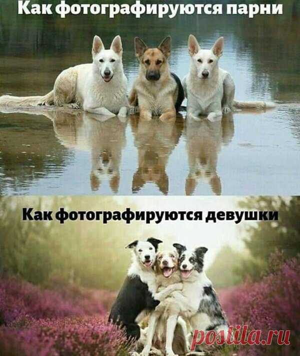 Минутка юмора