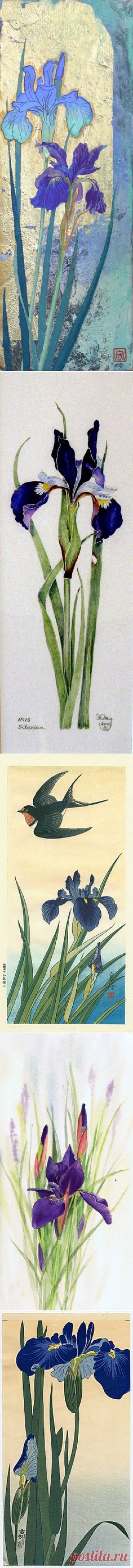 (307) Pinterest
