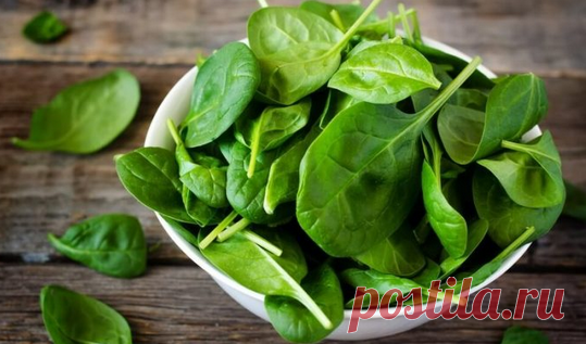 Подорожник с сахаром или на меду — ценнейшее лекарство на весь год! - Подружки - медиаплатформа МирТесен