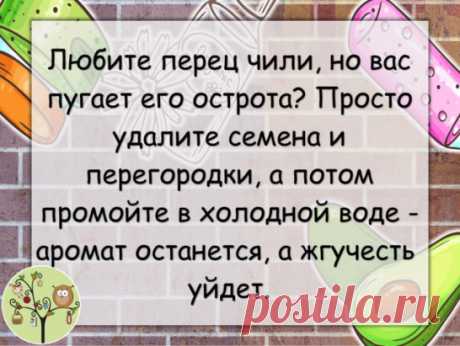 Чили
