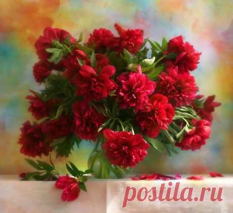 Одноклассники