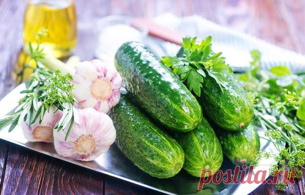 Тонкости вкусных хрустящих малосольных огурцов