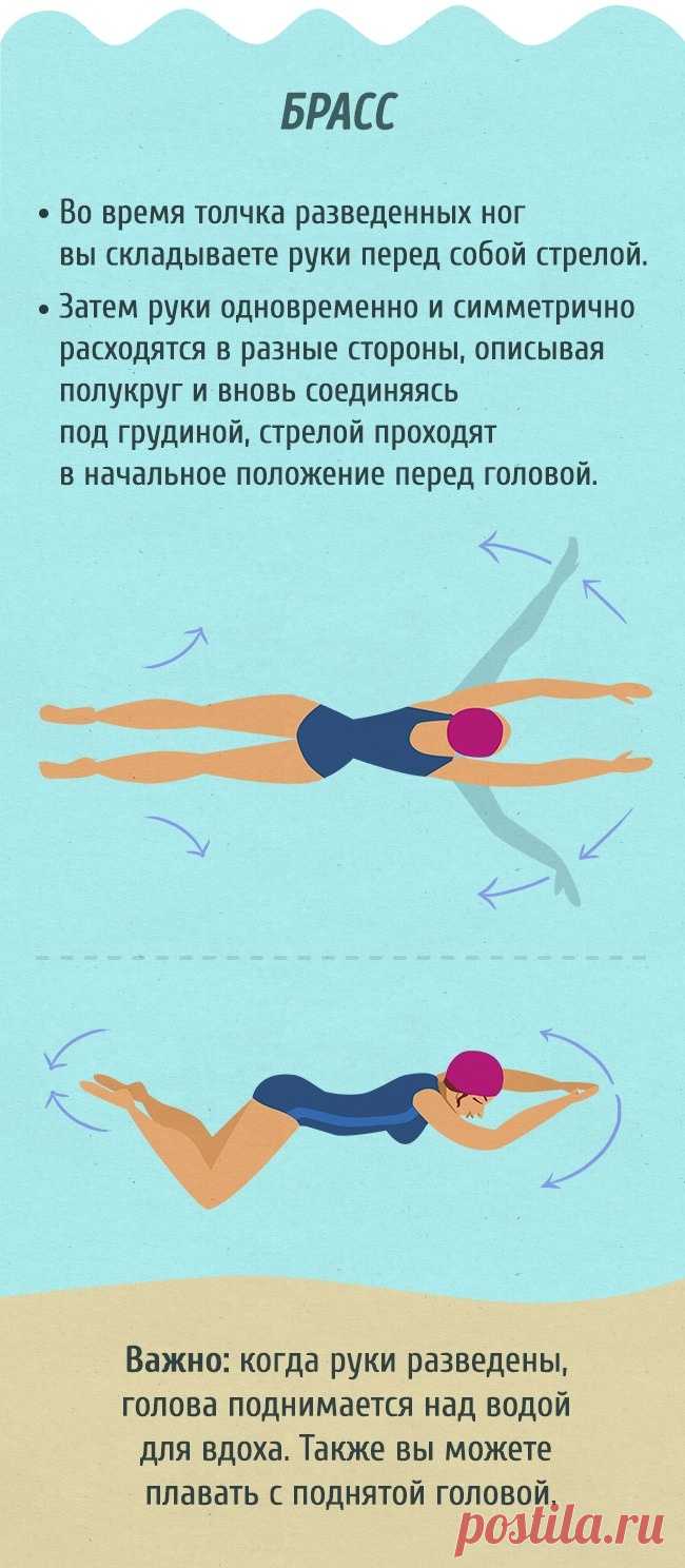 Полный гид для тех, кто хочет научиться плавать как рыба в воде