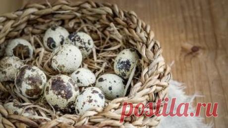 6 оригинальных рецептов к новогоднему столу - Советы - РИАМО в Балашихе