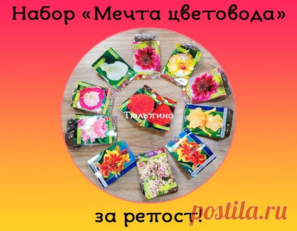 Тюльпино.ру