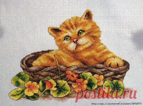 Схемы вышивки крестом маленькие. Вышивка прикольные коты | Все о рукоделии: схемы, мастер классы, идеи на сайте labhousehold.com