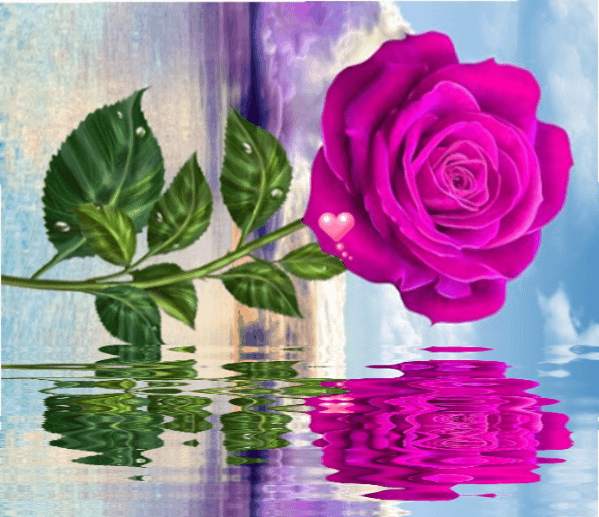 23cf16ffac1488dce4a4bcb982b8dd38.gif (599×517)