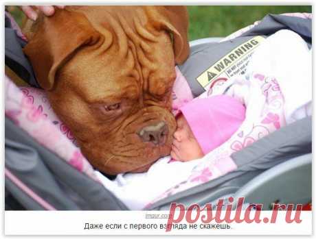 Новости