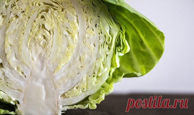Что #приготовить #из_капусты. Много рецептов
- Как приготовить гениально простой #салат из капусты с минеральной водой
- Подозрительно вкусная капуста
- #Окономияки — — японское блюдо с капустой
- Приготовим из капусты веганские #оладьи
- Как приготовить #суп из капусты
- #Голубцы — рецепт фаршированной капусты из Венгрии
- Карамелизированная капуста