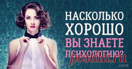Тест: Насколько хорошо вы разбираетесь в психологии?