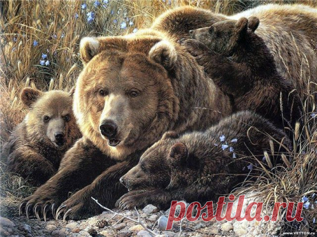 (52) Одноклассники