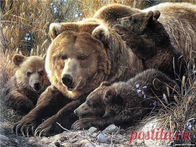 (52) Одноклассники