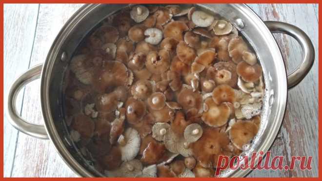 Как вкусно замариновать лесные грибы на зиму. Универсальный маринад. И способ заготовки, проверенный десятилетиями | Первый домашний ресторан | Дзен