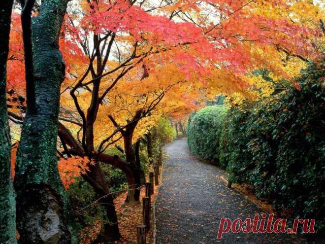 Мой Мир@Mail.Ru