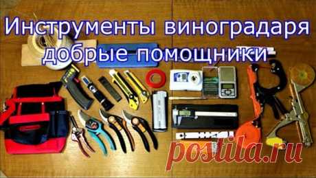 Инструменты виноградаря - добрые помощники