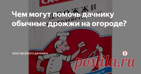 Чем могут помочь дачнику обычные дрожжи на огороде?  Все мы знаем, что на дрожжах получаются самые вкусные и пышные пирожки. А могут ли нам помочь дрожжи на огороде? Могут! И расти все будет "как на дрожжах"! Если вы еще не знаете всех секретов, читайте статью и сохраняйте себе полезные советы.
Чем могут помочь дрожжи на огороде
Дрожжи богаты питательными  веществами, являются отличным стимулятором роста растений. Микроэлементы, содержащиеся в дрожж
