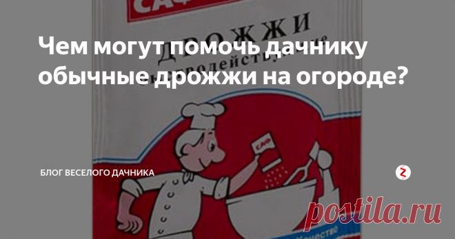 Чем могут помочь дачнику обычные дрожжи на огороде?  Все мы знаем, что на дрожжах получаются самые вкусные и пышные пирожки. А могут ли нам помочь дрожжи на огороде? Могут! И расти все будет 