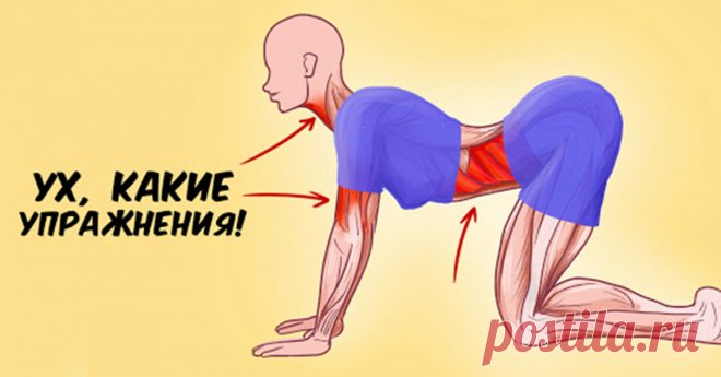 Набор упражнений, которые способны творить реальные чудеса с организмом женщины А вы часто занимаетесь собой? Эти упражнения помогут оставаться в тонусе и не только! Не так давно я наткнулась на книгу японского целителя «Система здоровья Кацудзо Ниши». Она привлекла мое внимание тем, что написана не на пустом месте, а основана на личном опыте автора...