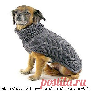 Утепляем своих питомцев