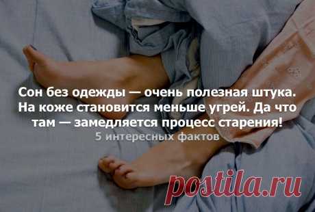 Без комментария