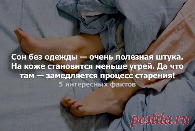 Без комментария
