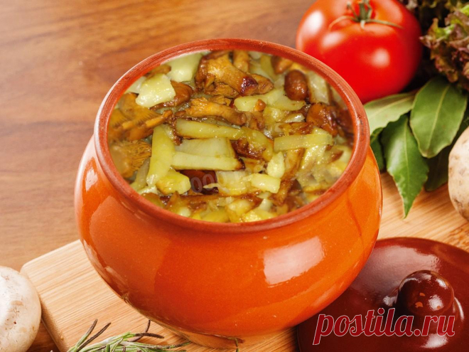 Лисички с картошкой в горшочке рецепт с фото - 1000.menu
