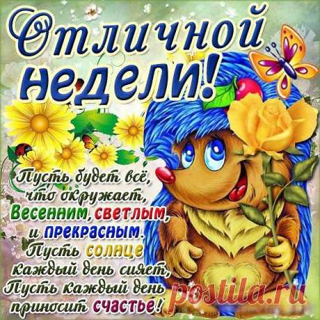 Интересные новости