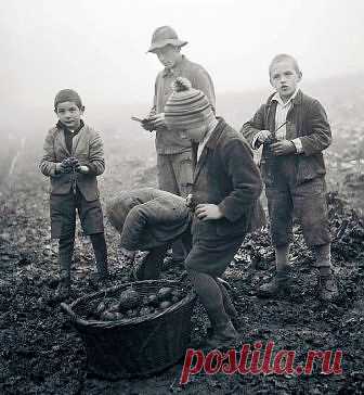 ПРЕМУДРОСТИ ВОСПИТАНИЯ ПРИЕМНЫХ ДЕТЕЙ : Ни для кого не секрет, что сегодня в России детей-сирот больше, чем после Великой Отечественной войны, причем, большинство становятся сиротами при живых родителях, опустившихся на самое дно жизни, пьющих, обколотых, с асоциальным поведением, но живых.
Это накладывает особый отпечаток на проблему социального сиротства, растущую как снежный ком.