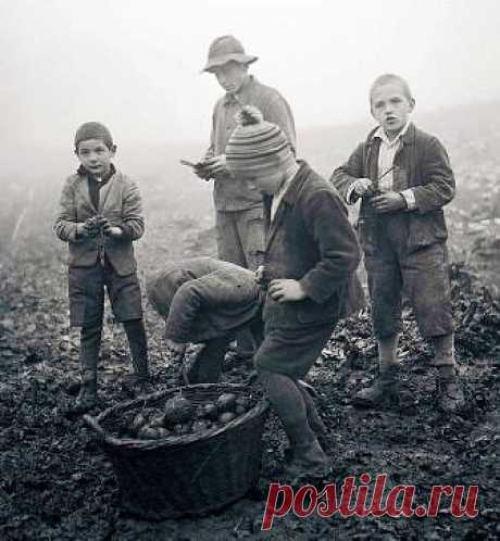 ПРЕМУДРОСТИ ВОСПИТАНИЯ ПРИЕМНЫХ ДЕТЕЙ : Ни для кого не секрет, что сегодня в России детей-сирот больше, чем после Великой Отечественной войны, причем, большинство становятся сиротами при живых родителях, опустившихся на самое дно жизни, пьющих, обколотых, с асоциальным поведением, но живых.
Это накладывает особый отпечаток на проблему социального сиротства, растущую как снежный ком.