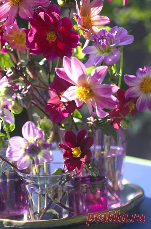 Счастлив тот, кто умеет петь с душою чистой и открытой… Нужно уметь находить радость во всём: в небе, в деревьях, в цветах. Цветы цветут всюду для всех, кто только хочет их видеть.
Анри Матисс
С добрым утром,Друзья ! 
С хорошим днём ! 
Пропускайте сквозь пальцы весь негатив и тогда в ладошках останутся радость и счастье.