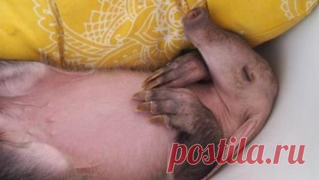 Лента по интересам. Знакомства на Tabor.ru