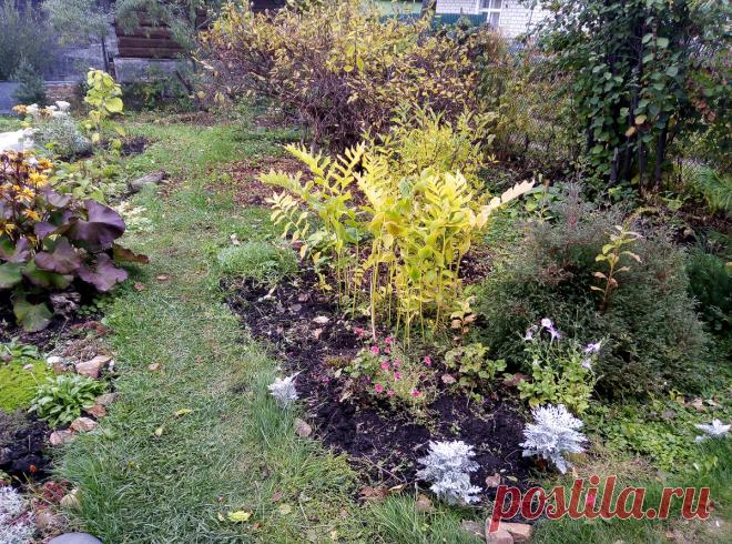 5 моих правил ведения дачного хозяйства … когда тебе за 60 | Дачный дневник пенсионерки | Яндекс Дзен