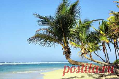 Названы самые бюджетные направления для путешествий за границу на Новый год. Вице-президент Российского союза туриндустрии (РСТ) Дмитрий Горин навал самые бюджетные направления для путешествий за границу на зимние праздники. Специалист порекомендовал отечественным туристам обратить внимание на чартерные направления, список которых расширяется с 1 декабря.