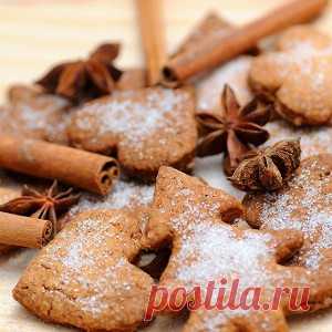 Дневник Ира_Шин