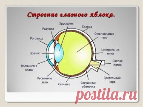Мой Мир@Mail.Ru