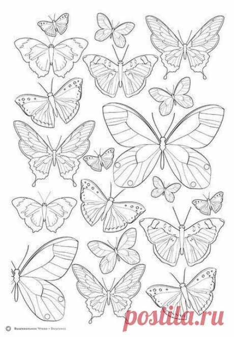 🦋🌶 Эскизы для вышивки: бабочки и жучки