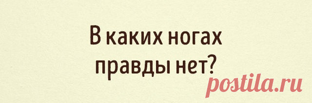Хорошо ли вы помните грамматику (тест) — Болтай