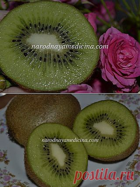 Киви. Чем полезен этот фрукт. | narodnayamedicina.com
