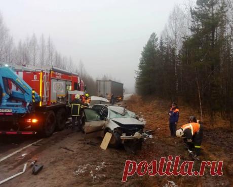 Водитель легковушки погиб при выезде на главную дорогу около Костомукши | Новости