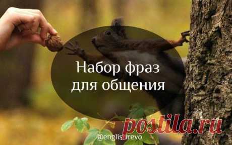 Уроки Английского. Новые фразы для общения