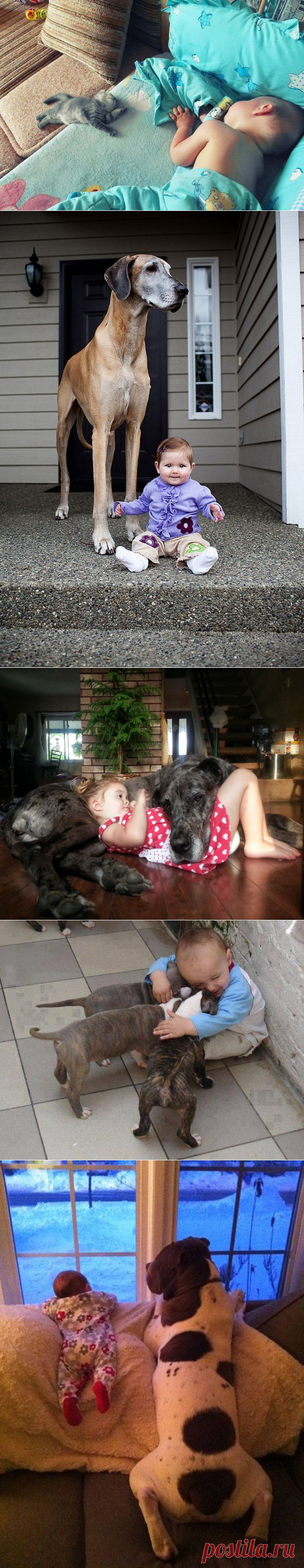 Фото отличного настроения — Болтай