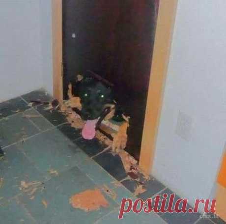 Новости