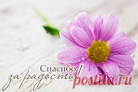Спасибо за радость!