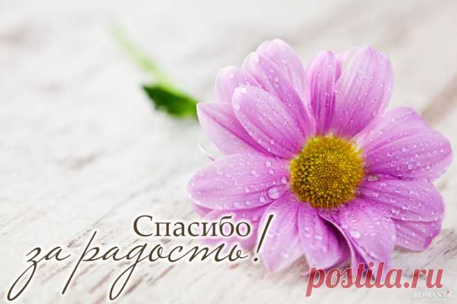 Спасибо за радость!