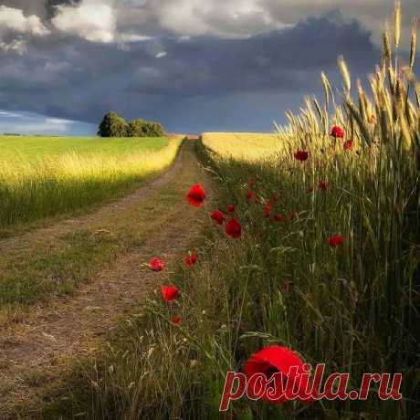 Доброе утро, друзья! Листайте 👉⠀
🌾🌻🌿🌼🌱  ️Представляем Вам подборку красивых фотографий. Какое фото нравится вам больше 1,2,3...10?
⠀
⭕ Подпишись ▶️ @natureofrussia.ru ⠀
⠀
Благодарим авторов. Фотографии в карусели по порядку : 
1) Перед грозой.  Автор @peterlundqvist
2) Три мордашки.  Автор @d.arkhipov 
3) Торжок. Тверская область.  Автор @denko_
4) Караканский бор.  Автор @lera.perla
5) Утро на озере. Автор @jukkapaa
6) С куста вкуснее. Автор @elen_nikishina 
7) Крас...