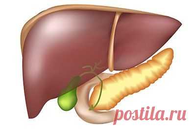 ЦИРРОЗ ПЕЧЕНИ - профилактика, как лечить.