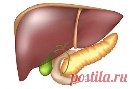 ЦИРРОЗ ПЕЧЕНИ - профилактика, как лечить.